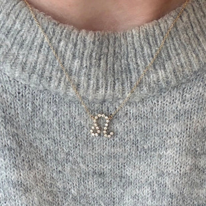 Zodiac Signs with Adjustable chains